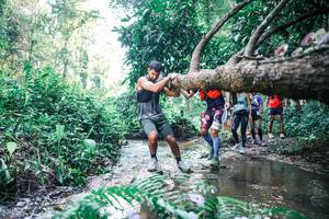 BIB: 
                            <button type="button" onclick="openModal(25442948)" class="btn btn-primary btn-sm float-right btn-popup" data-toggle="modal" data-target=".modal-high-quality">
                        <i class="fas fa-shopping-cart"></i> Add to Cart
                    </button>
                                            <button type="button" onclick="isThisMe(25442948, true)" class="btn btn-success btn-sm float-right btn-popup btn-isme hidden" data-toggle="tooltip" data-placement="bottom" title="นี่คือรูปของคุณใช่ไหม คลิกที่นี่เพื่อเอาเข้าอัลบั้ม">
                        <i class="fas fa-plus"></i> Add to album
                    </button>
                    <button type="button" onclick="isThisMe(25442948, false)" class="btn btn-warning btn-sm float-right btn-popup btn-isnotme hidden">
                        <i class="fas fa-ban"></i> Remove from album
                    </button>